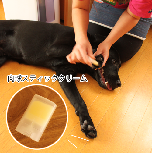 肉球クリーム