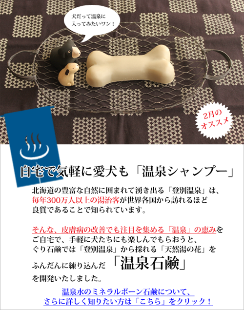 2012年2月のお勧め!温泉水のミネラルボーン石鹸
