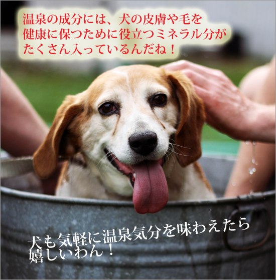 onsen_image002_edited-3