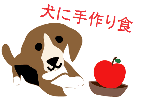 犬の手作り食メールセミナーに登録する!