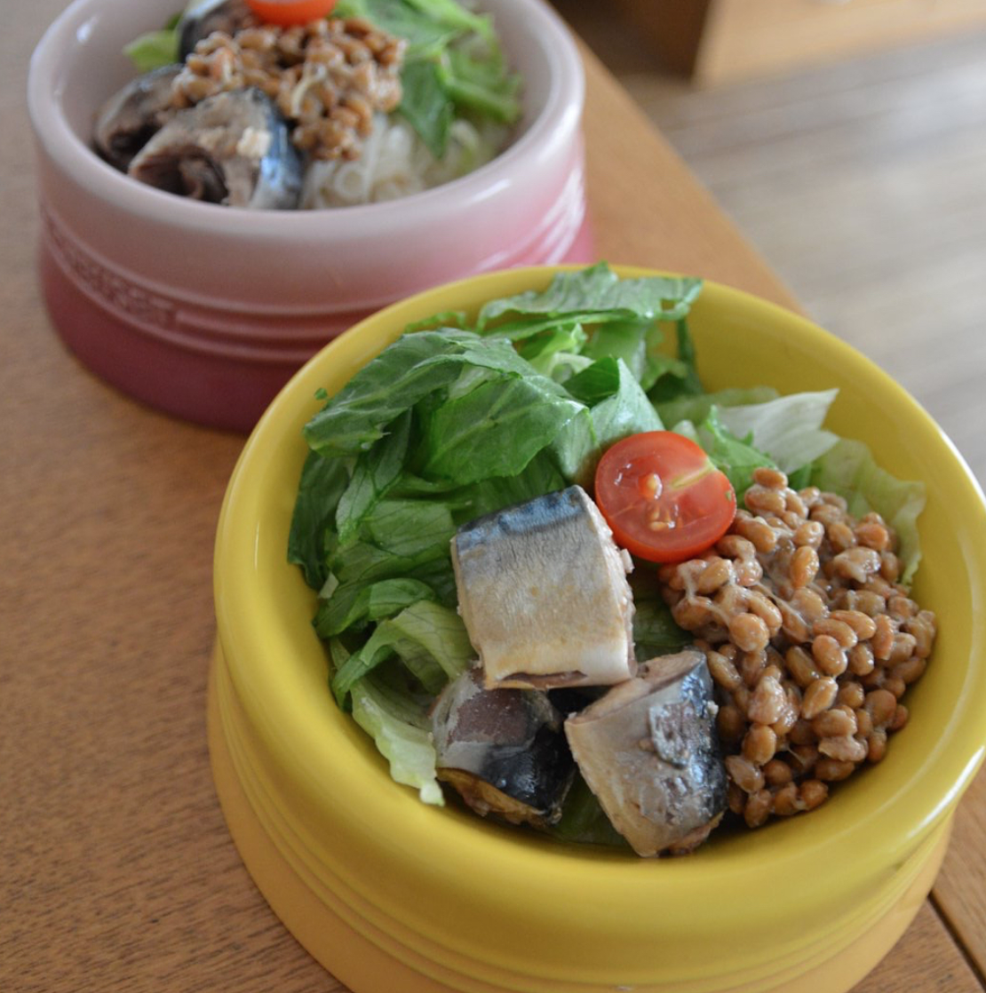 鯖と納豆のありあわせご飯 犬の手作りごはんレシピ 簡単 犬の手作りごはん アロマテラピー Office Guri オフィスぐり